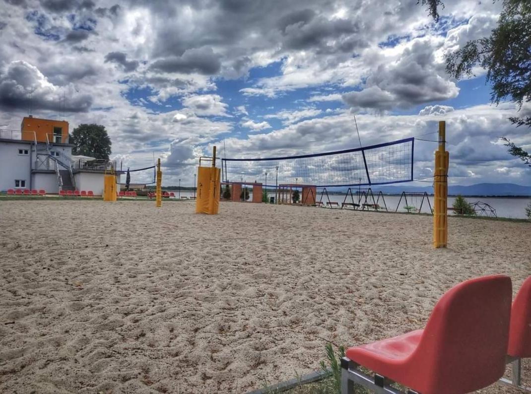Sandacz